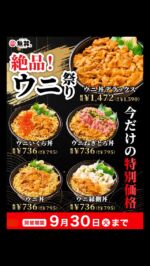 ネギサーモン 2024 Kawasaki Ninja ZX6R 40th Anniversary | Walk Around